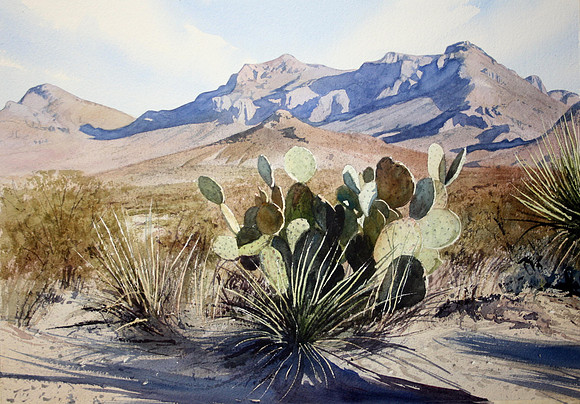 the dona anas |watercolor | 14 x 20 SOLD